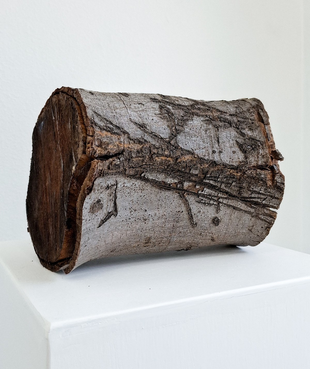 Log, 2025