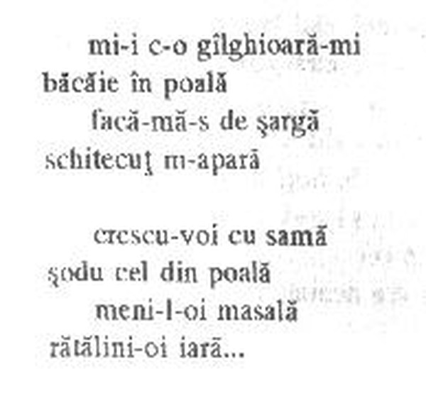 z&icirc;cere 12 from &icirc;ntru, scanned typewriter page