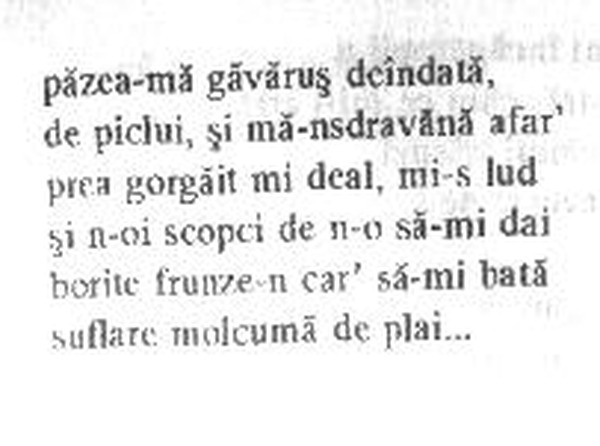 z&icirc;cere 20 from &icirc;ntru, scanned typewriter page