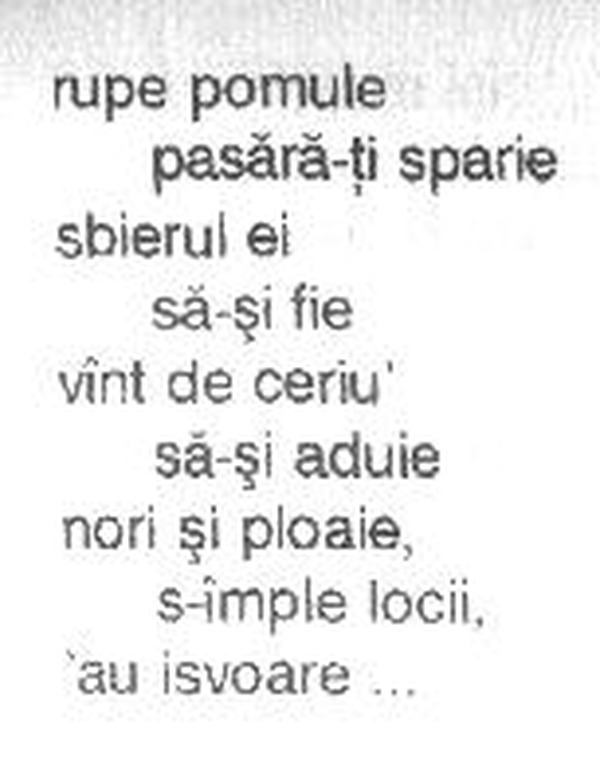 z&icirc;cere 12 from m&abreve;iu, scanned typewriter page