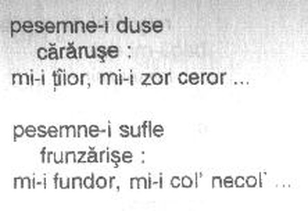z&icirc;cere 8 from m&abreve;iu, scanned typewriter page